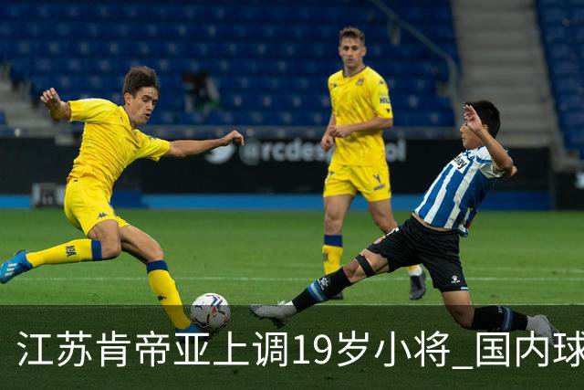 江苏肯帝亚上调19岁小将 国内球员注册达16人